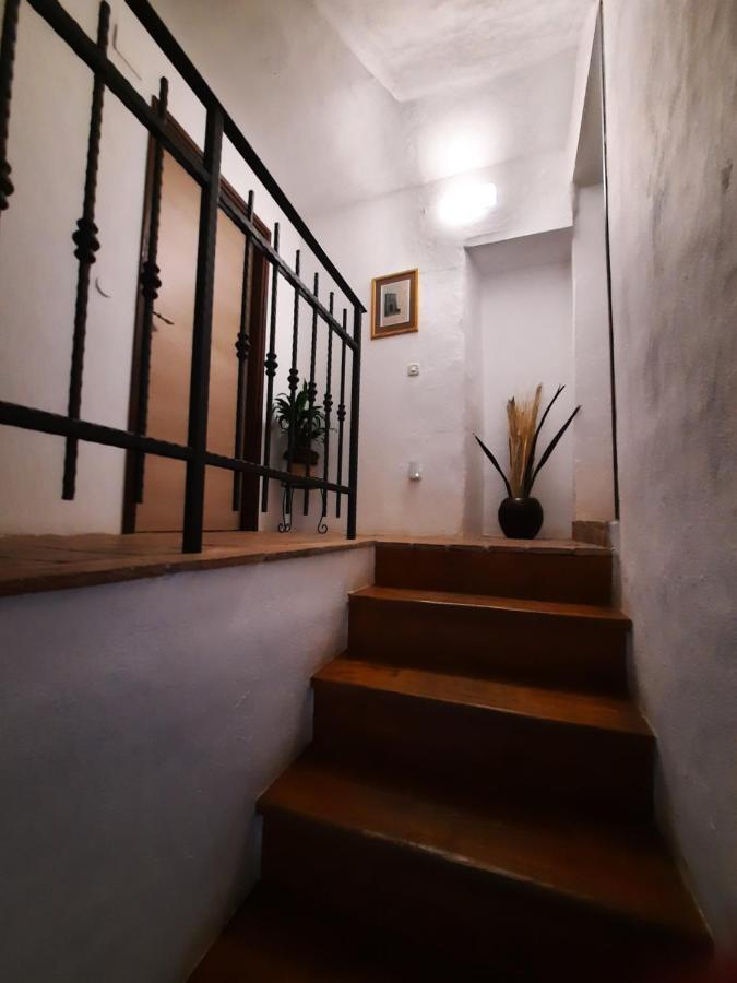 Bed & Breakfast Antico Мотовун Экстерьер фото